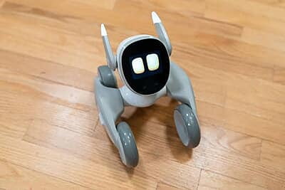 Loona Loona Robot Pet AI Companion Robot