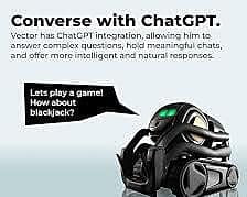 Vector Vector Robot AI Companion